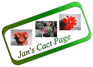 Jans Cact Page 
