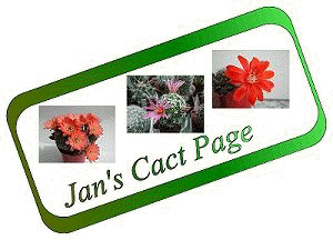Jan's Cact Page